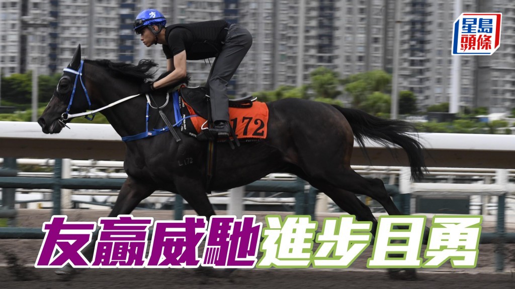 內圈捕影│  「友贏威馳」進步且勇