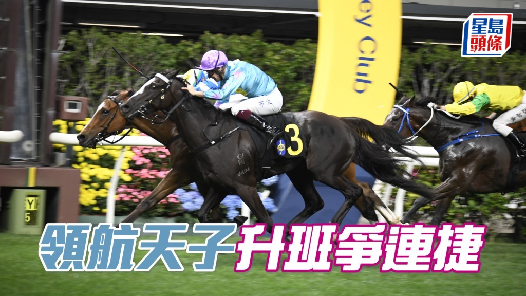 「領航天子」上仗能擊敗三班頭馬「錶之量子」,今仗升班負輕磅兼排一檔,可望爭取連捷。