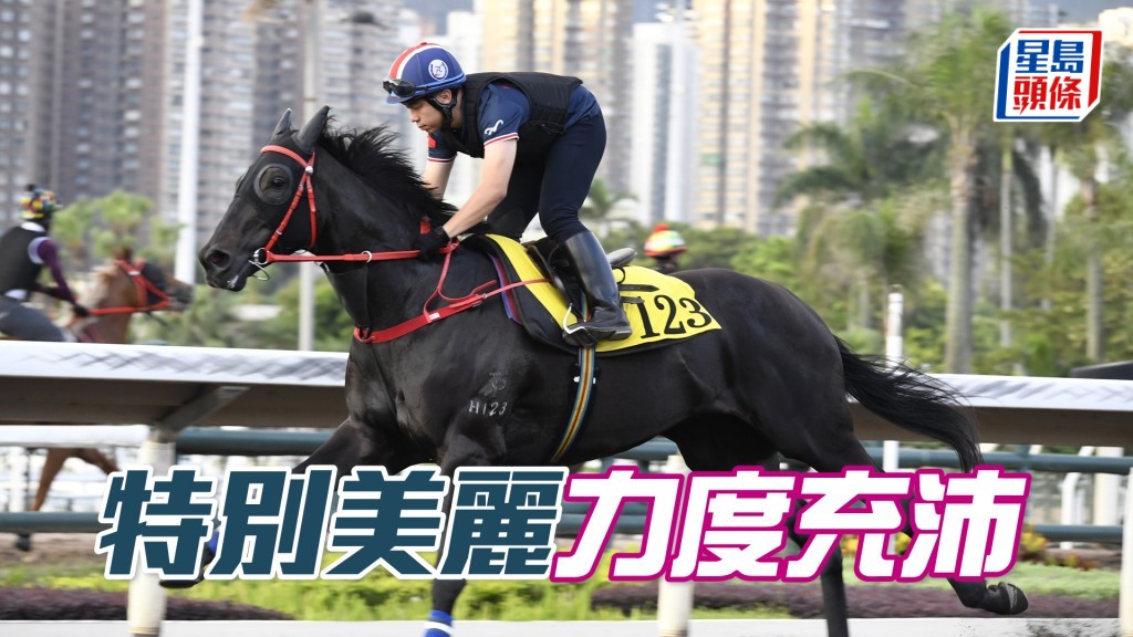「特別美麗」步伐穩健，持續見好長期呈勇。