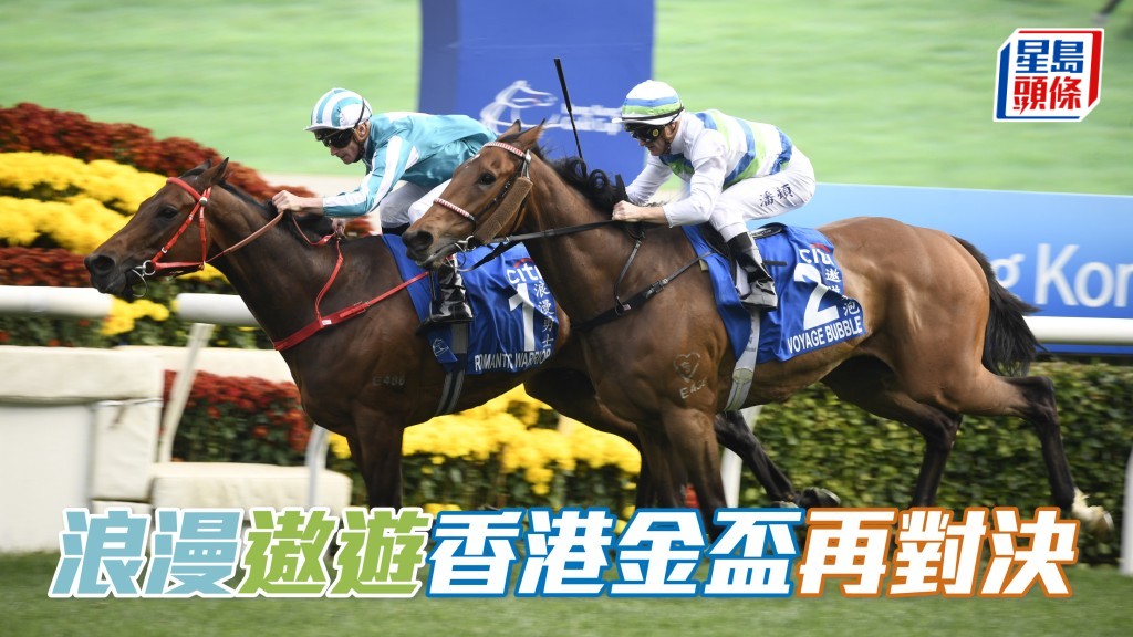 重头戏三冠大赛次关二千米香港金杯，香港两匹长途明星马「浪漫勇士」(内) 和「遨游气泡」(外) 又再次碰头对决。