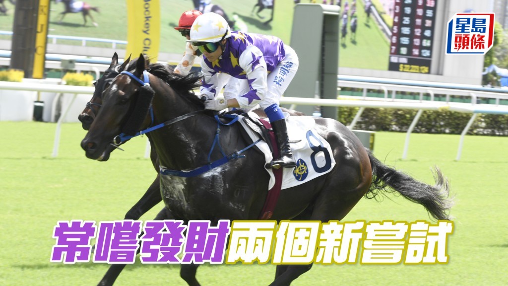 「常嚐發財」今場初跑泥地及首配見習生黃智弘。