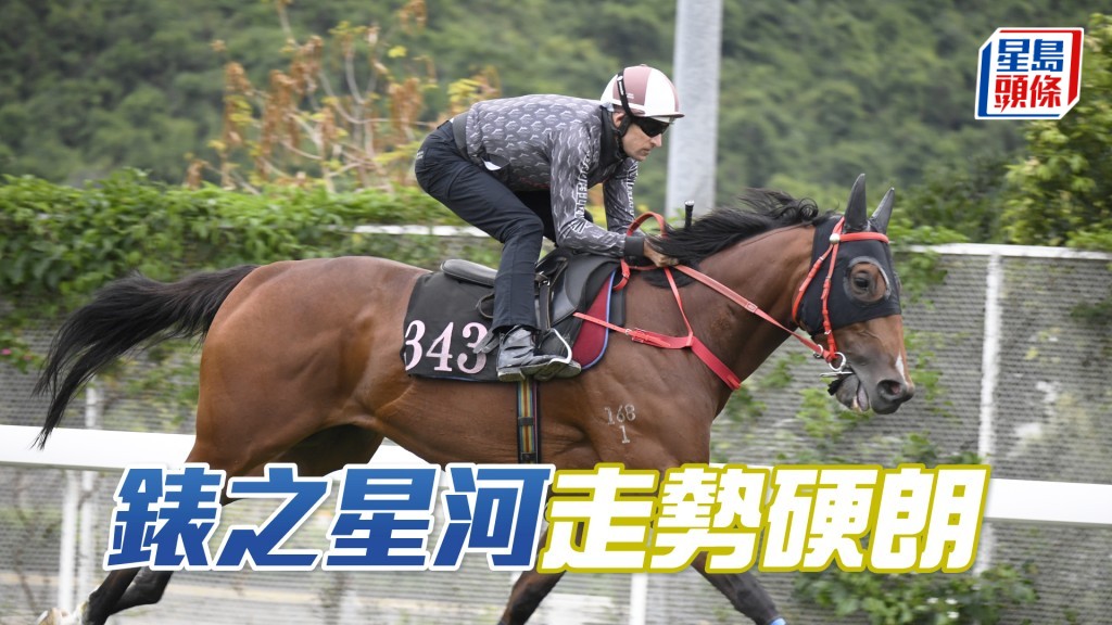 「錶之星河」馬身實淨毛色油潤，狀態長期呈勇。
