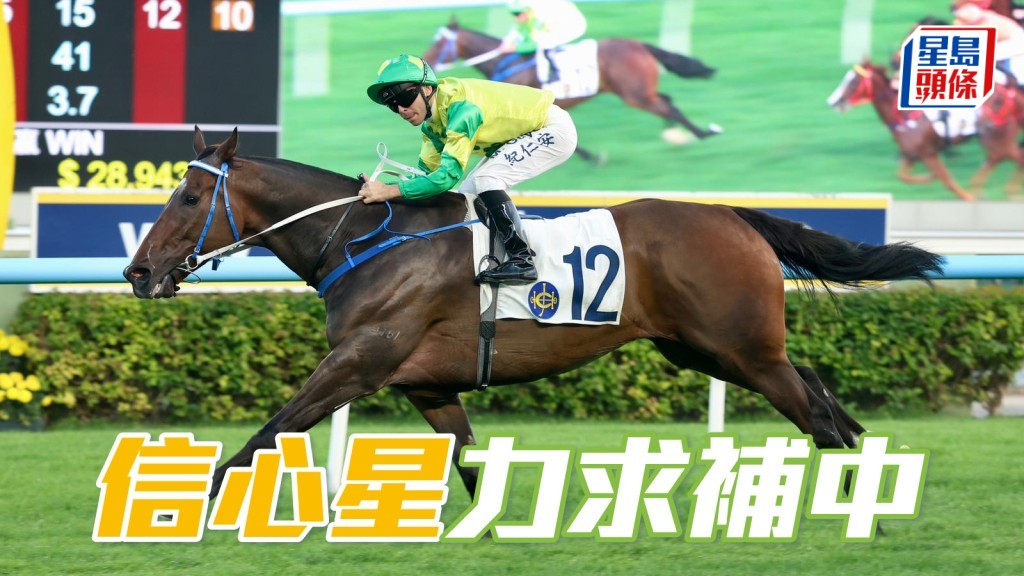 黃智弘周日為「信心星」(圖) 補中。