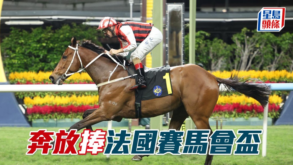 「奔放」捧法国赛马会杯