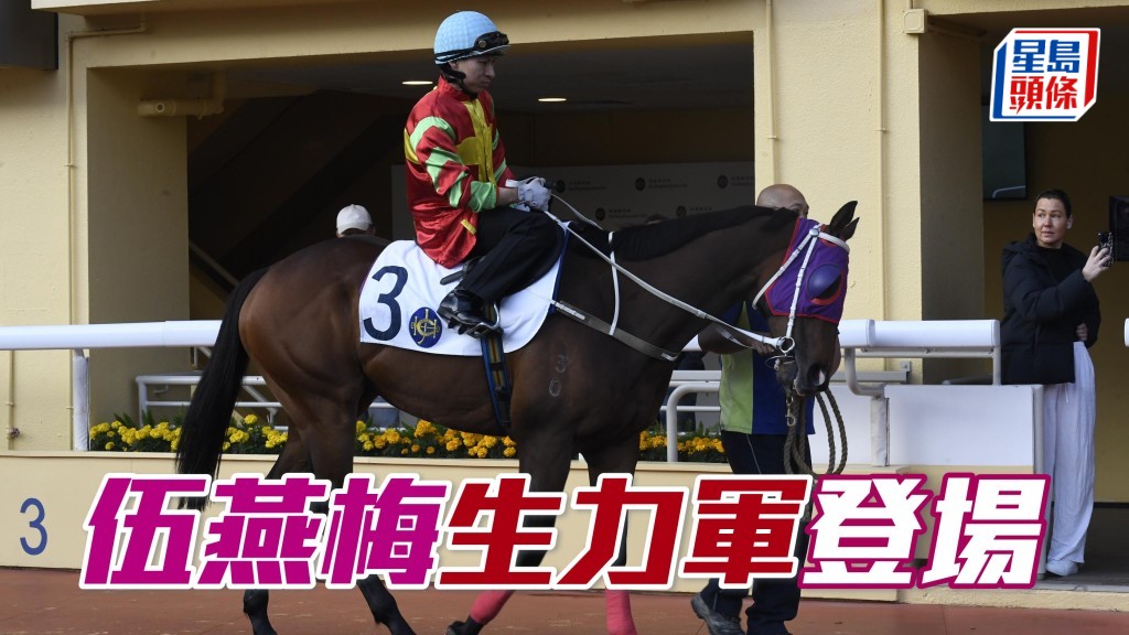 「萬事」系生力軍將在周三谷草賽事登場，「萬事得意」將報爭第九場三班一千米。