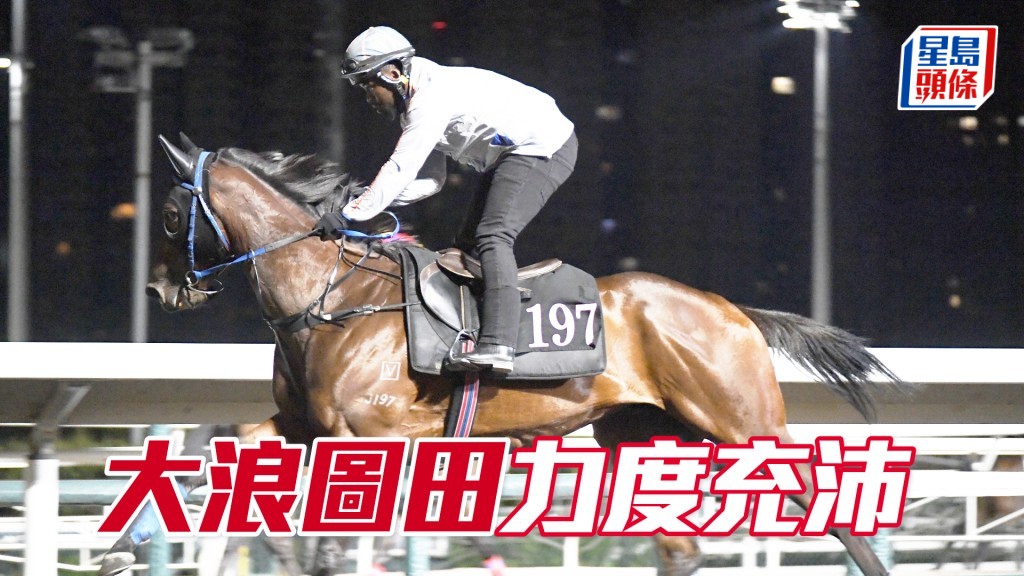 「大浪圖田」步伐穩健，持續見好未有走樣。