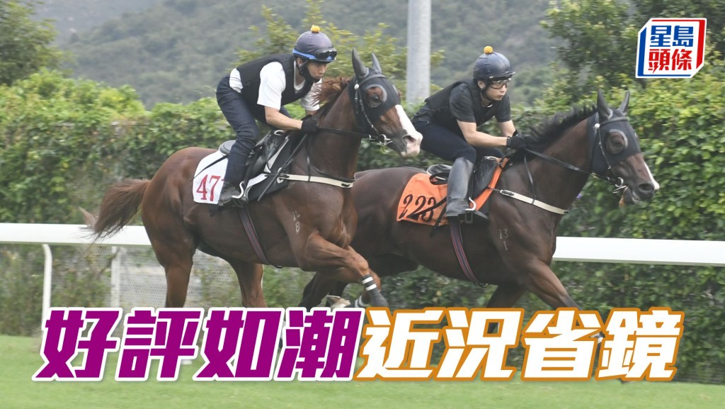 晨光追擊│ 「好評如潮」近況省鏡