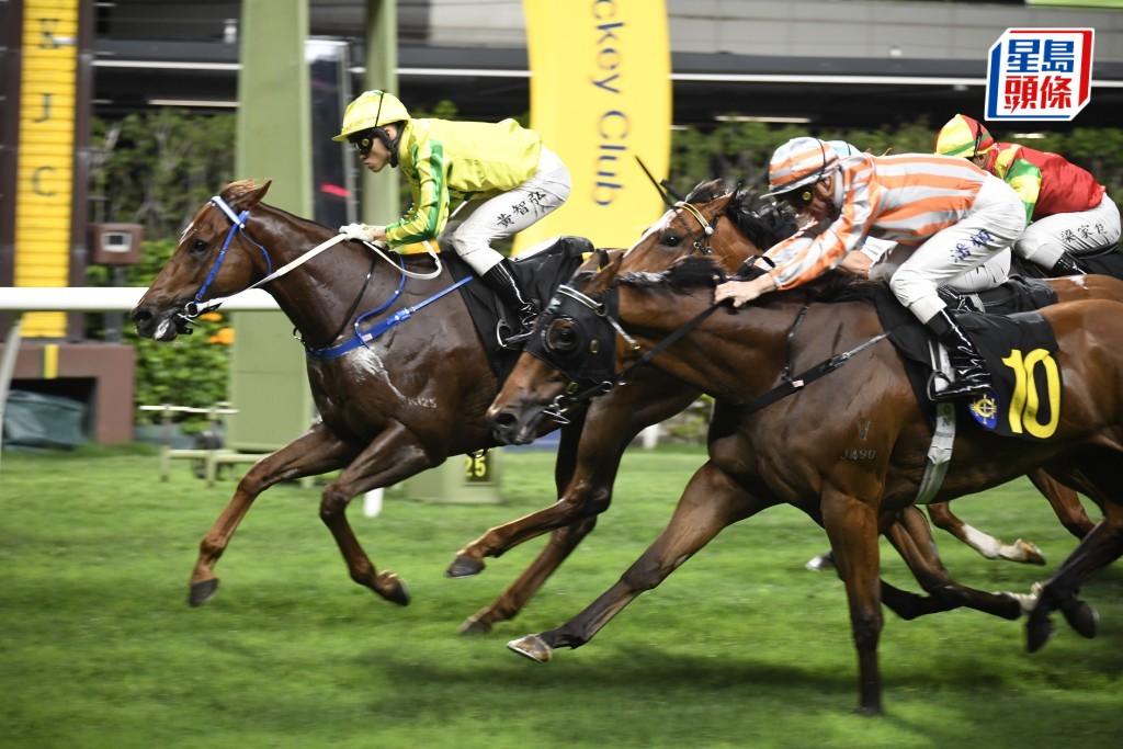 「富心星」(內) 居四班能力佔優，今次強配莫雷拉勝望濃。