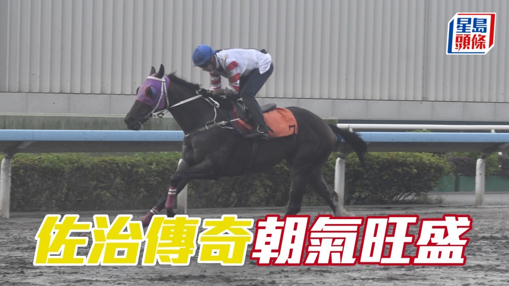 内圈捕影│「佐治传奇」朝气旺盛