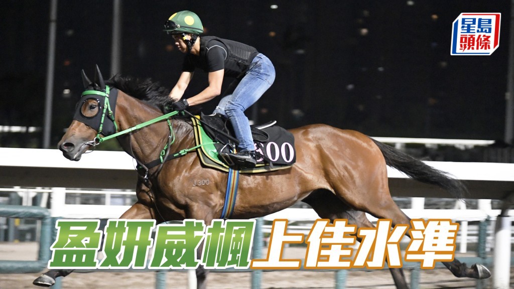 「盈妍威枫」落脚整齐有力，马身喼得靓。