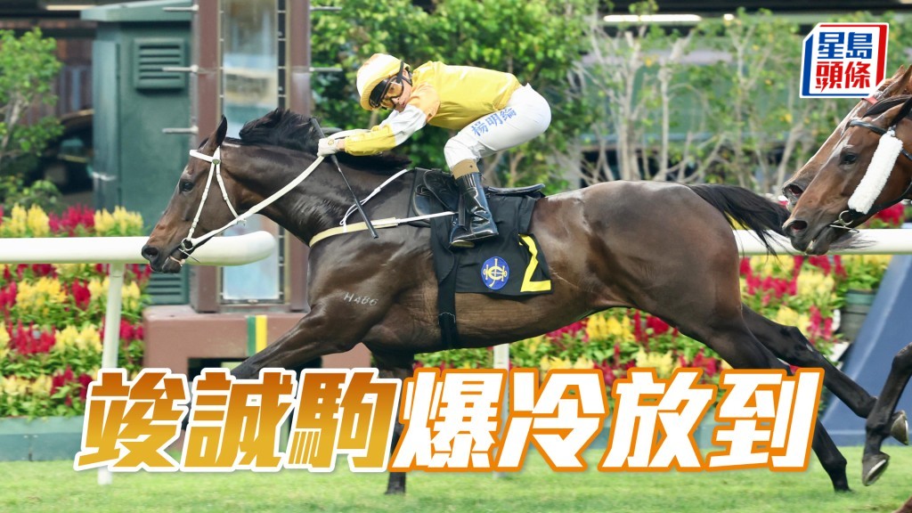 「竣誠駒」爆冷放到