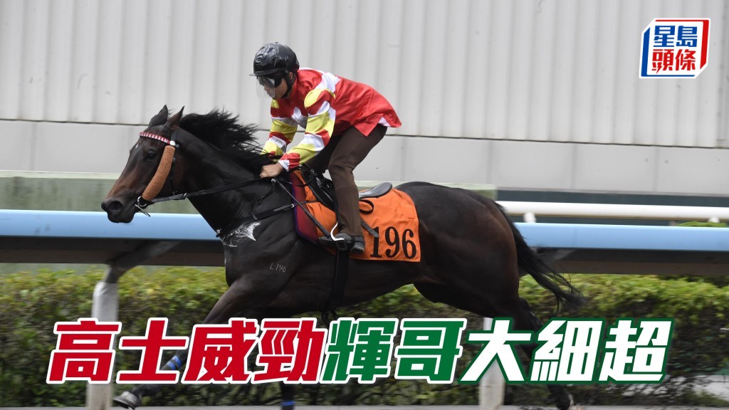 沙田早晨│「高士威勁」輝哥大細超