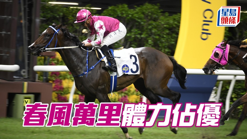 「春風萬里」季內上陣少在體力方面有優勢，有力在前列歸來。