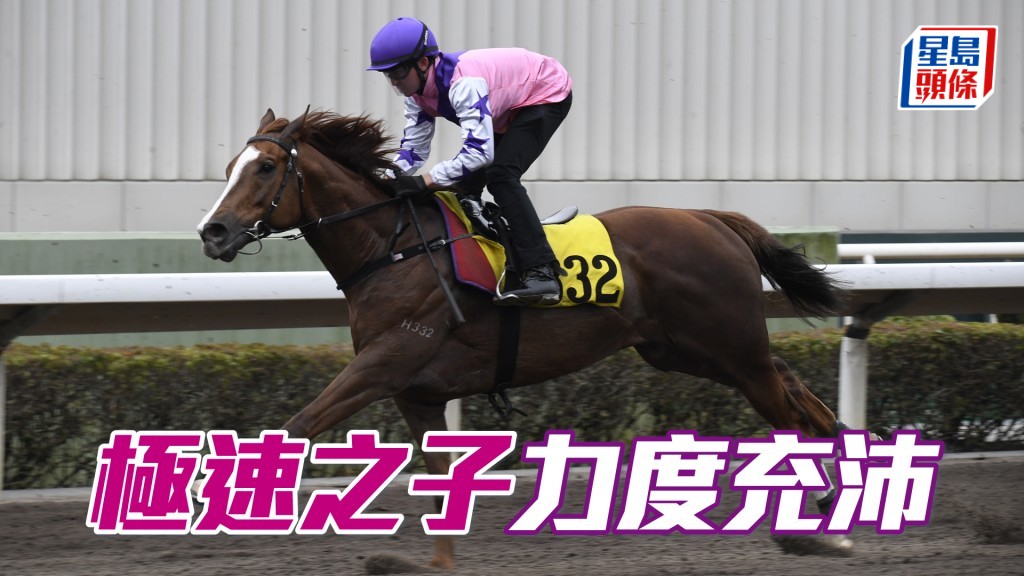 「極速之子」步挺順暢，觀感不遜贏馬時候。