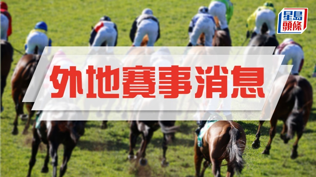 马场浮世绘｜「莫匹敌」退役转任种马