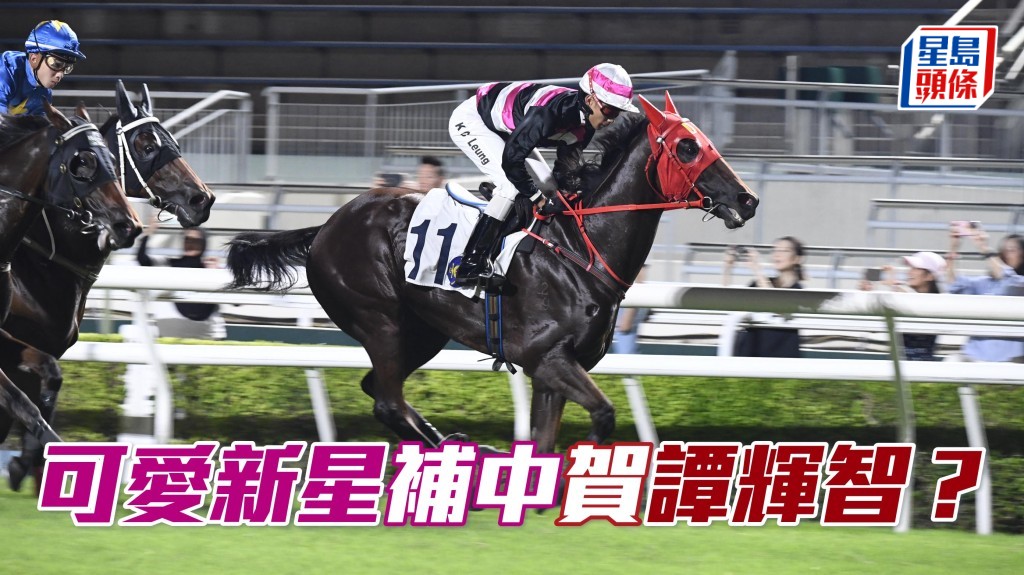 「可愛新星」隔一星期再出，能否令馬主之一譚輝智雙喜臨門？