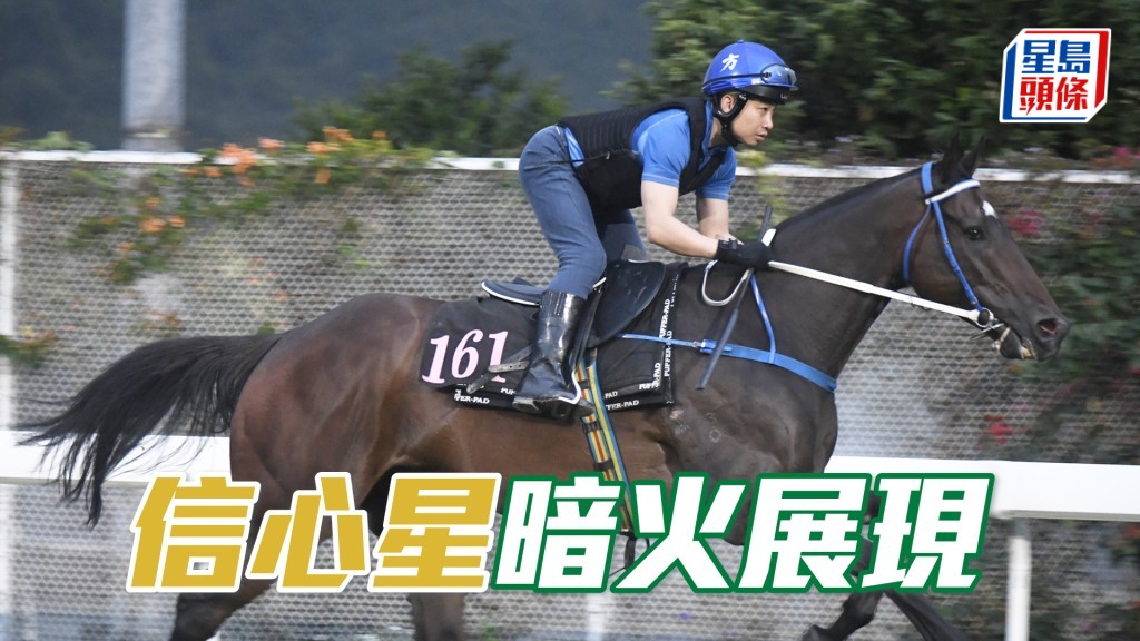 「信心星」力度依然充沛，佳態保持未見疲態。