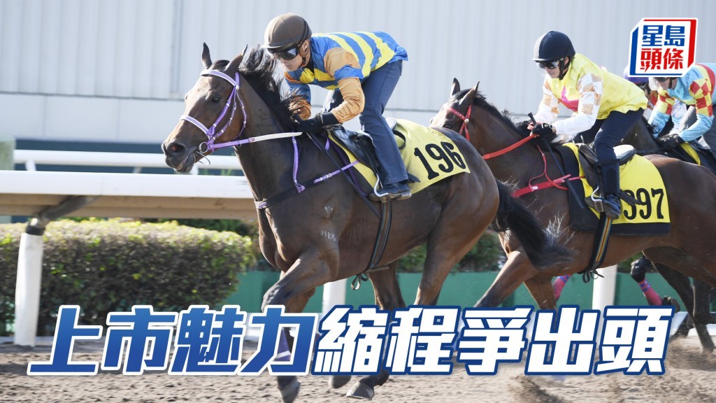 「上市魅力」終於縮程返回千八米，再由潘頓策騎，大有機會贏馬而回。