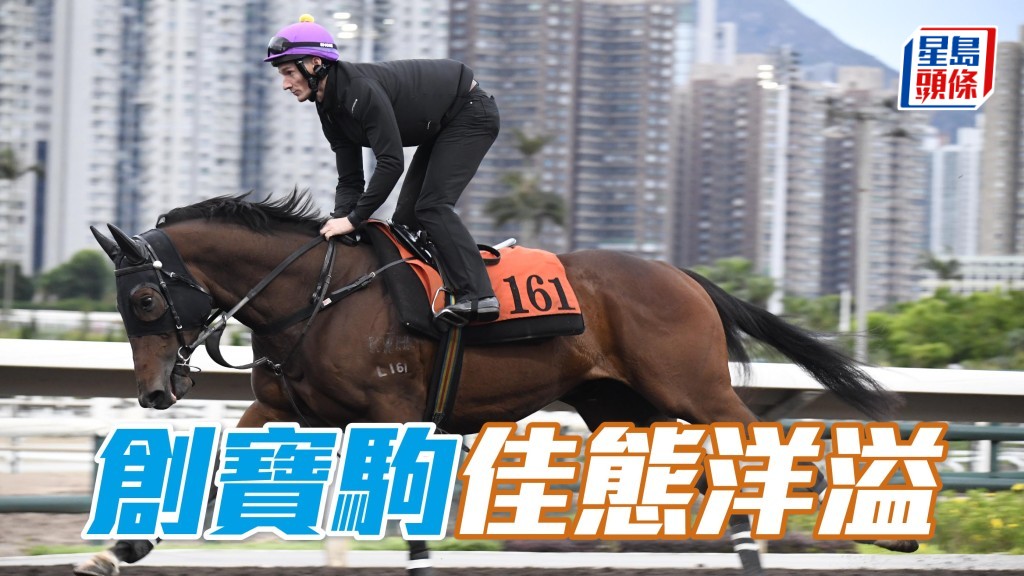 晨光追擊│「創寶駒」佳態洋溢
