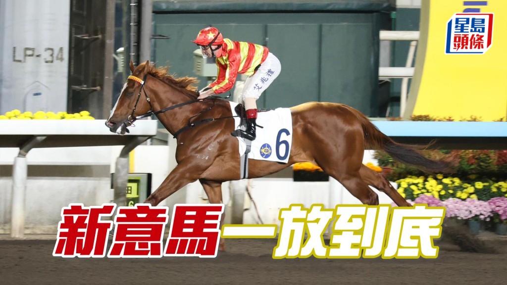 「新意馬」一放到底