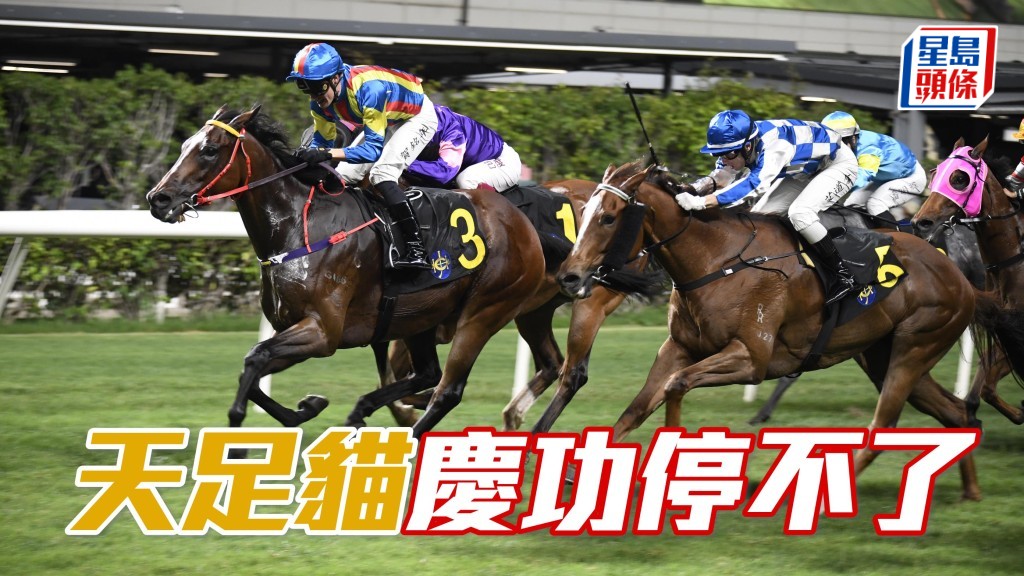 「天足貓」(3號) 早前在港取得九捷,馬主歐志浩再次親上從化,宴請巫廐從化馬房員工吃晚飯。