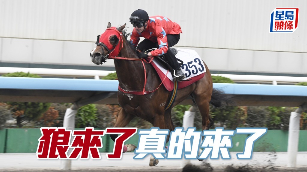 「狼來了」上仗出自強組，處女馬已有起色。