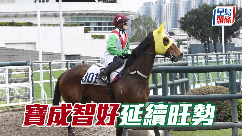「寶成智好」再獲潘頓青睞，若早段沒有過度搶口，可望展開強勁衝刺制勝。