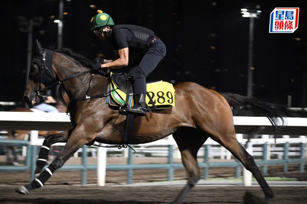 「唯美主义」步顺轻快力度唔差，去番最佳时候。