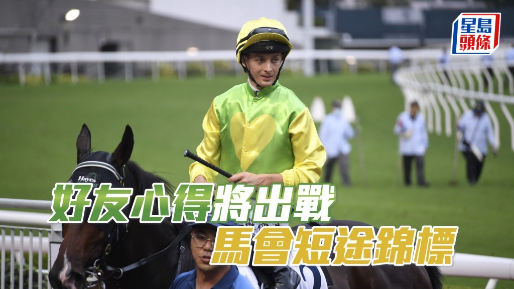 「好友心得」下場將跑11月馬會短途錦標，之後挑戰12月香港短途錦標。