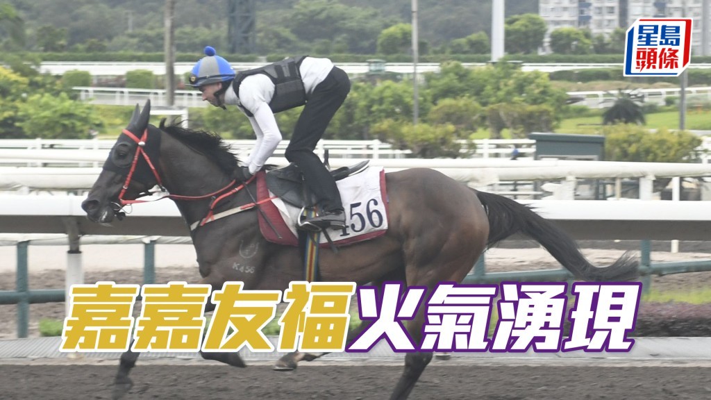  「嘉嘉友福」過步輕爽力度充沛，狀態好對辦。