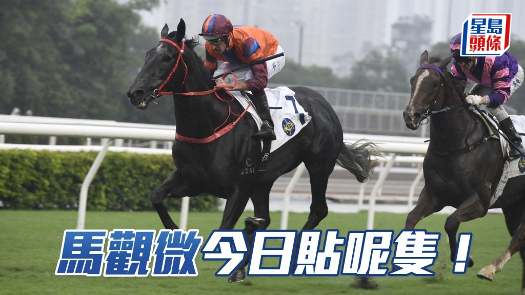 「以战常胜」今日有望再赢一场。
