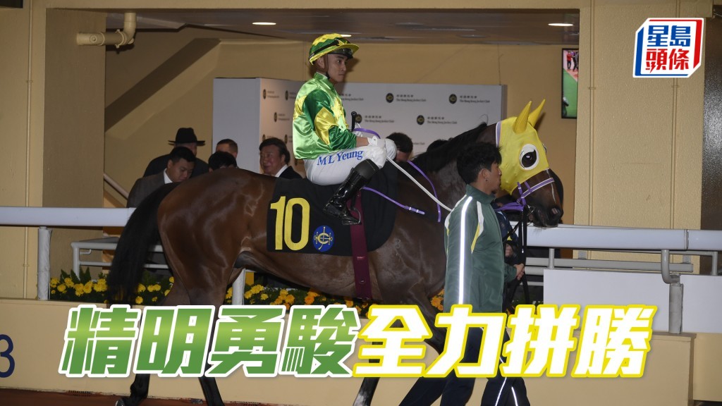 「精明勇駿」明晚再配楊明綸出戰同程。