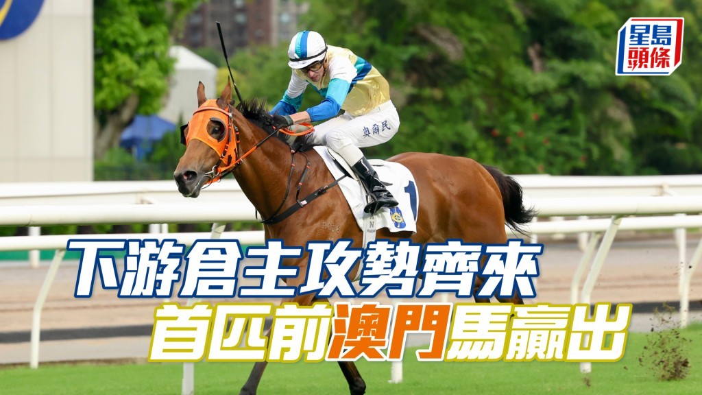  「手到齊來」是首匹來自澳門而轉來香港服役並勝出馬匹。