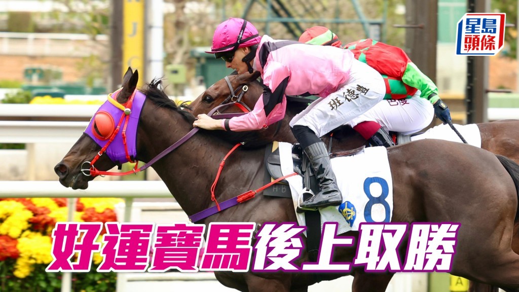 「好运宝马」后上取胜