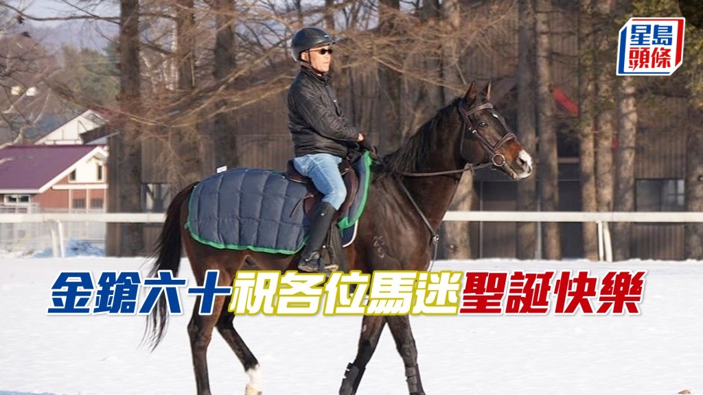 日本马迷与香港马王「金鎗六十」在日本北海道雪地漫踱，良驹雪景，充满诗意。（相片来源：马迷@mogutaro_umauma提供）