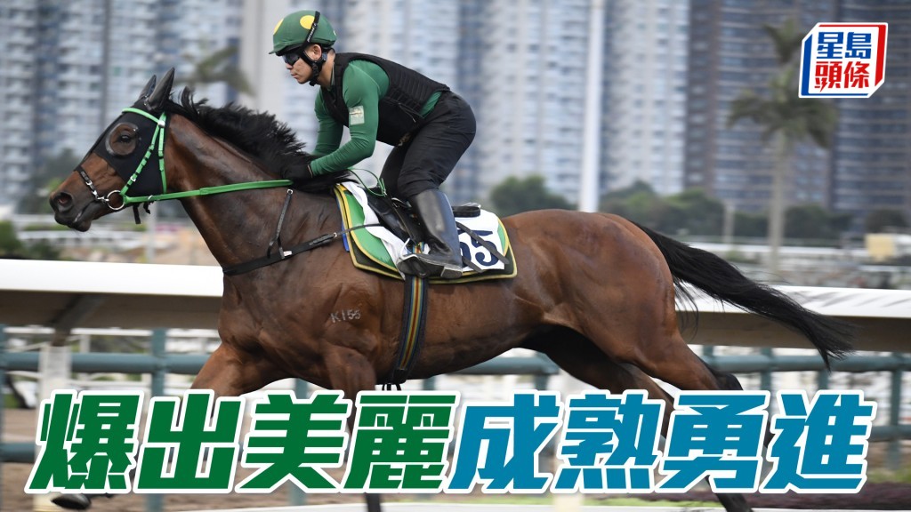 「爆出美麗」馬身收得靚，情緒穩定，成熟程度續添，狀態勇銳。