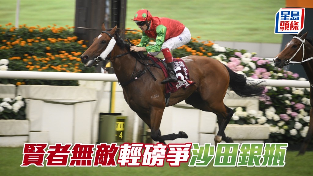 「賢者無敵」上季贏得的四場頭馬，皆在好地或黏地建功。