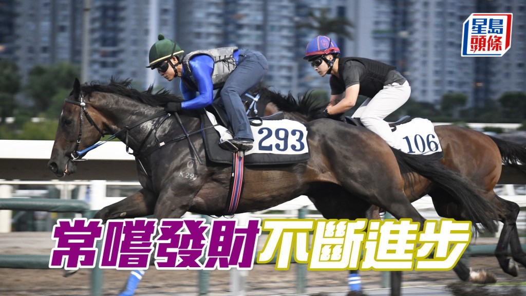 「常嚐發財」從容不迫，步闊力勁動作順暢。
