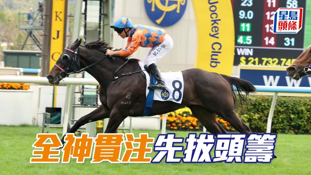 「全神貫注」先拔頭籌