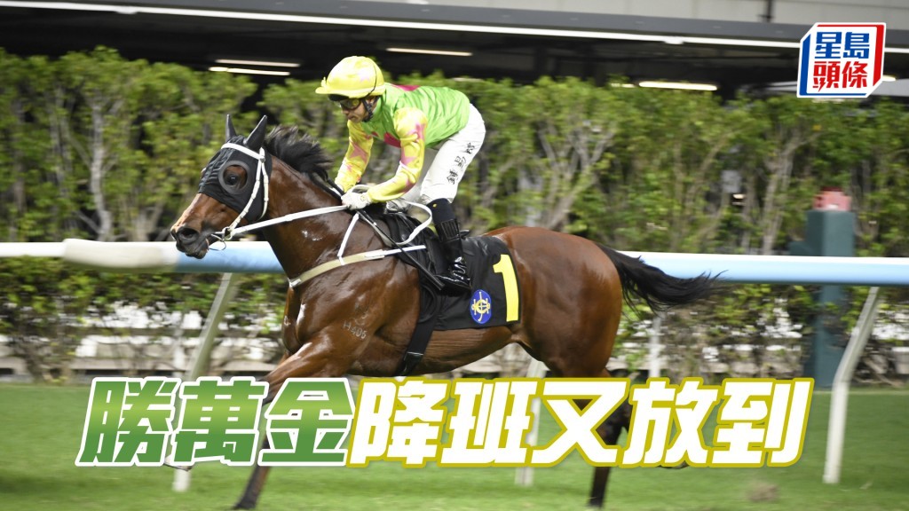 「勝萬金」重返四班應可切入內欄領放，可望再次一放而回。