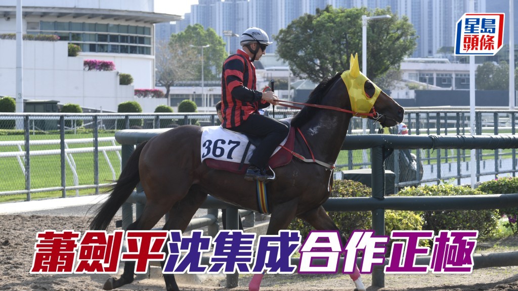 「正極」明日初出跑第五場三班1200米。