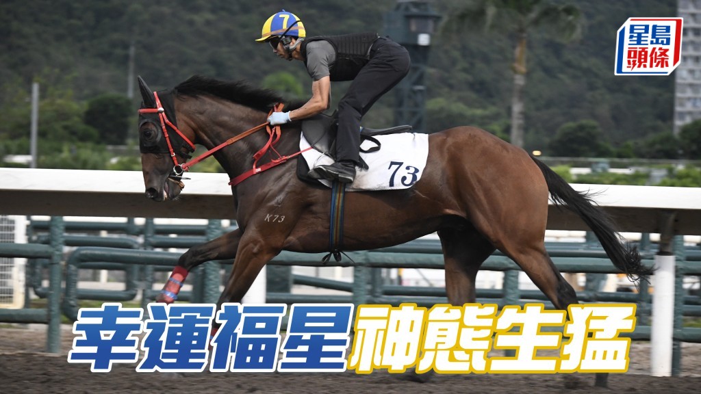 「幸運福星」神態生猛