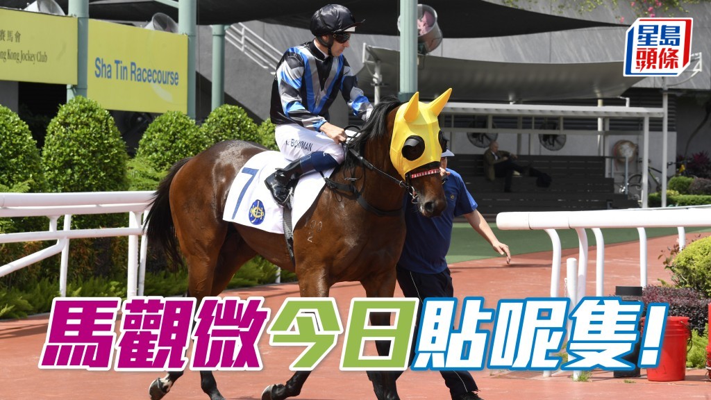 「旌採」開齋精彩