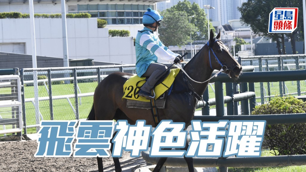 「飛雲」步伐穩健力度唔錯，狀態極之對辦。