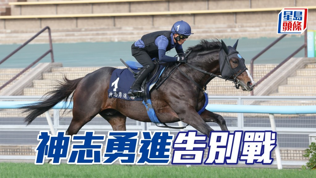 「神志勇進」將於周日（12月14日）第三度競逐浪琴香港一哩錦標。