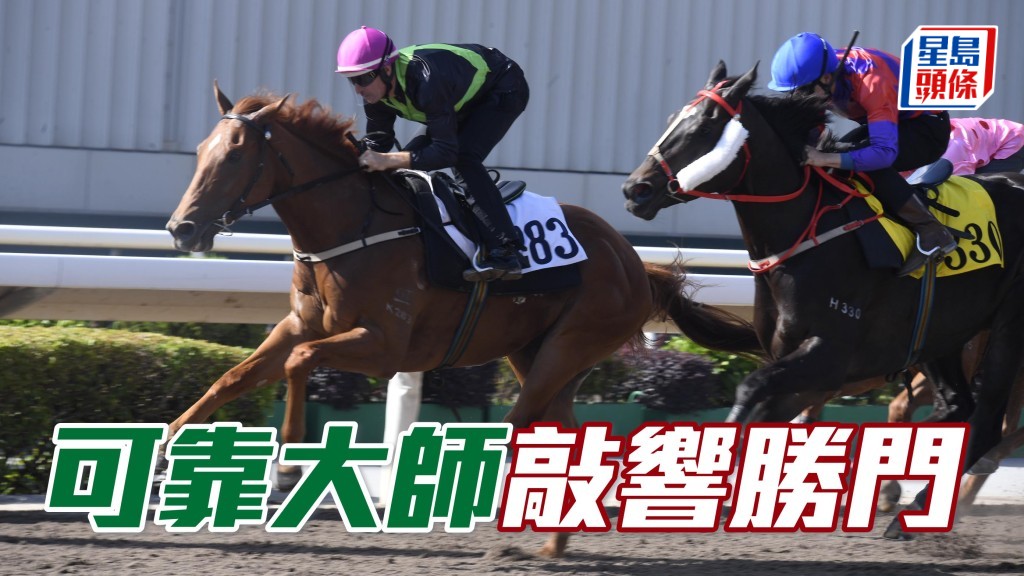 「可靠大師」(圖) 在港三戰沙田均有獎金收,質新當打,馬兒吸收了經驗後,今場渡江而戰,初跑谷草,出戰第六場賽事,或有突破的演出。