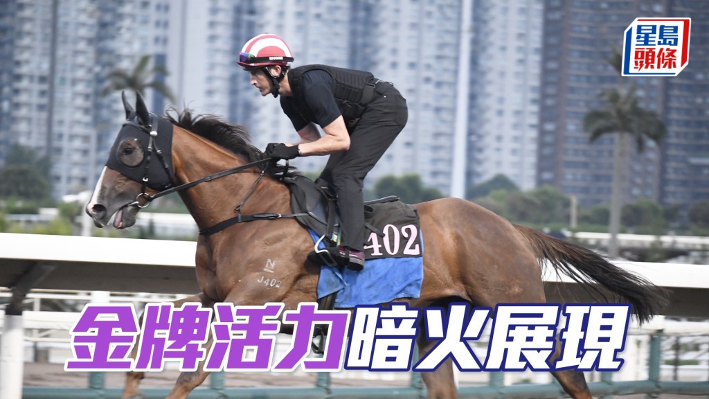 「金牌活力」步顺轻巧神态畅旺，打仔恶马一直省镜。