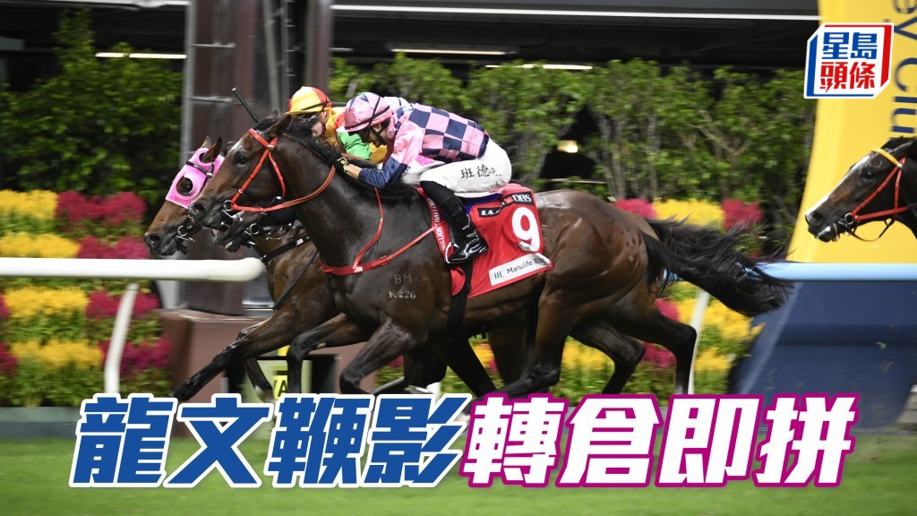 「龍文鞭影」幕後欲參與打吡，今場轉倉初出，定必全力爭分爭取入場券。