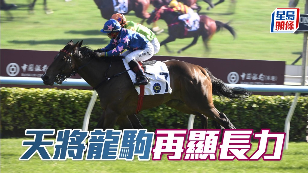 「天將龍駒」上場201場次以文靜跑法應戰，直路上交出招牌式後勁趕過再出補中的「盈好威楓」，賽績水準可信，今場升班負磅大幅減輕。試閘追勢甚強，可爭三連捷。