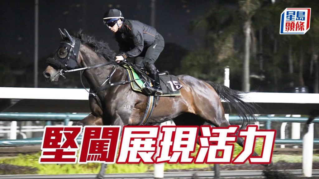 「堅闖」神態活躍走勢爽夾勁，去番最佳時。